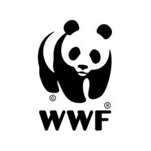 WWF: Диких животных на Земле за последние 40 лет стало вдвое меньше