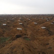 СМИ: Под Одессой массово захоронили убитых призывников как «биоотходы»