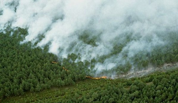 Самолет МЧС был задействован для тушения лесных пожаров в Бурятии