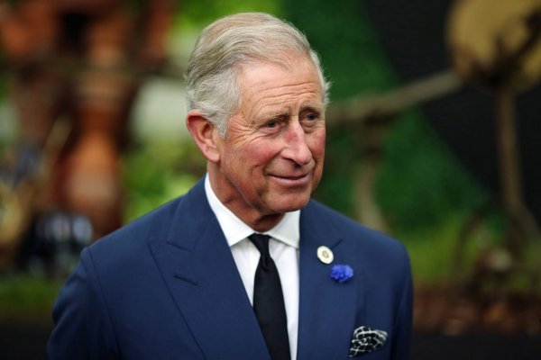 СМИ: Полиция Ирландии предотвратила теракт против принца Чарльза