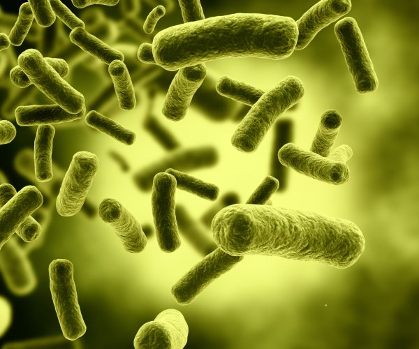 Ученые научились диагностировать рак с помощью бактерий