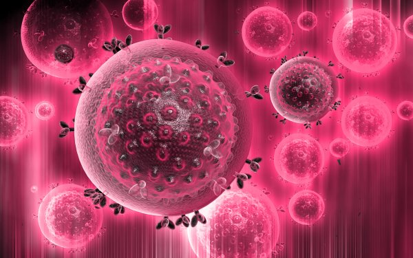 Ученые: Антитела могут обеспечить длительную защиту от ВИЧ