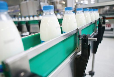 Росконтроль: Добросовестные производители молока находятся на грани выживания