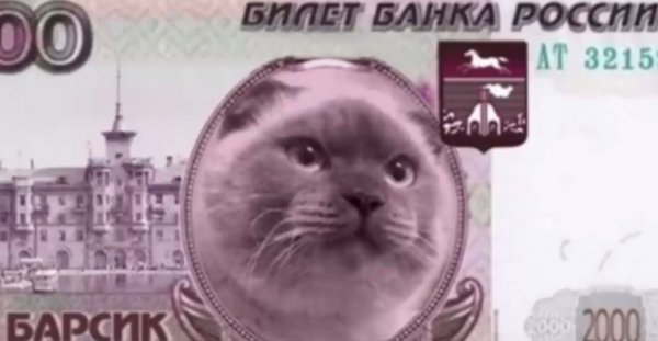 Знаменитый кот Барсик пикетирует в Москве у здания Центробанка