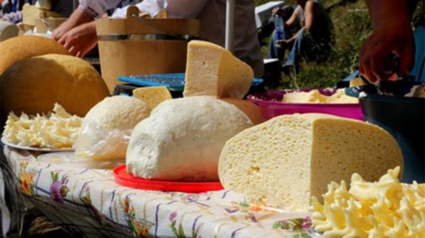 В Истринске на фестивале российского сыра покупатели скупили весь продукт за пару часов