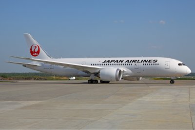 Japan Airline обвиняют в оскорблении россиян