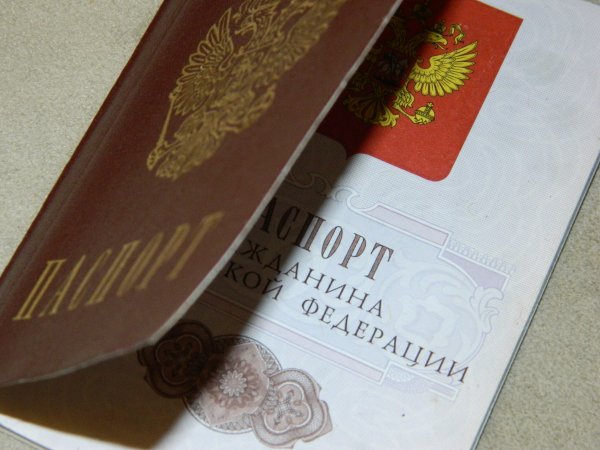 Госдума продлила упрощенное получение гражданства РФ до 2020 года