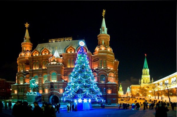 Главная новогодняя елка приедет в Кремль из Подмосковья