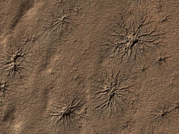 Ученые NASA объяснили причины роста «паучьих сетей» на Марсе