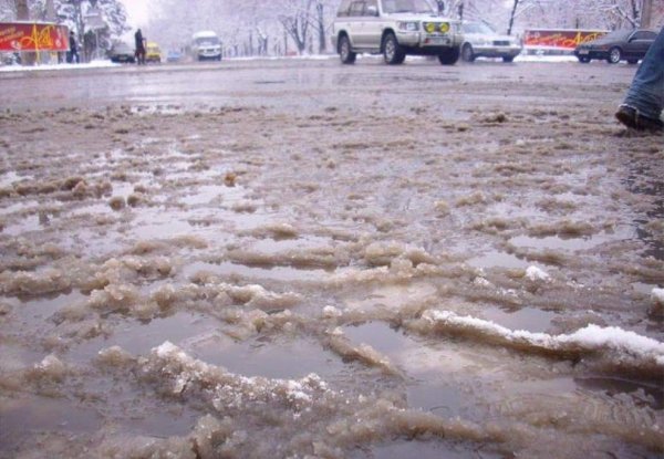 Жители Ярославля встретят Новый год с дождливой погодой
