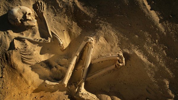 Американские археологи нашли скелет древней девочки, больной туберкулёзом