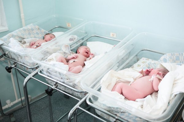 В Прикамье в январе родились 2 662 ребенка