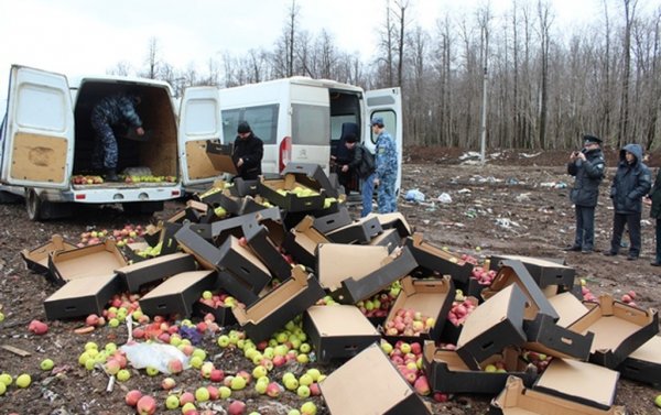 В Перми более двух тонн яблок раздавил бульдозер