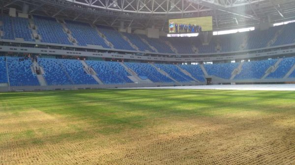 Представители ФИФА решат судьбу газона на стадионе «Санкт-Петербург»