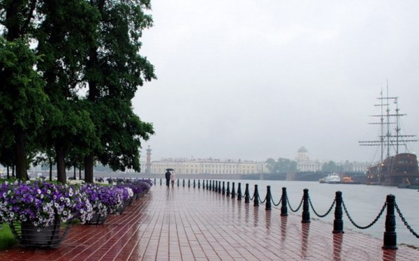 В начале лета в Санкт-Петербурге будут лить дожди