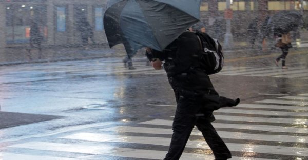 В Санкт -Петербурге с началом новой недели ожидаются дожди, ветер и грозы