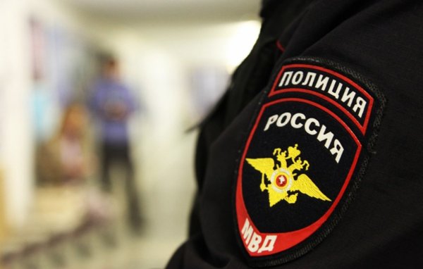 В Москве полиция задержала скрывшегося водителя, сбившего ребёнка