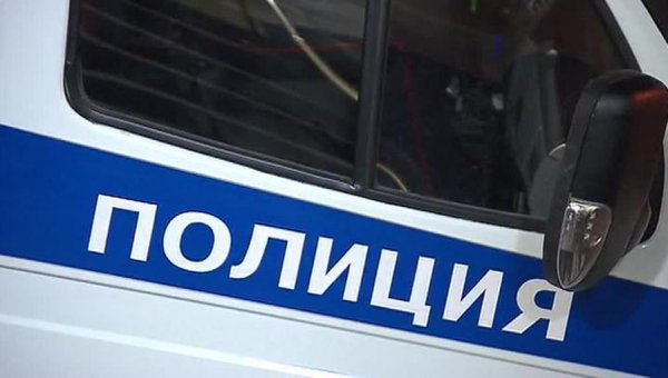 Пропавшую жительницу Новокузнецка обнаружили мертвой в лесополосе