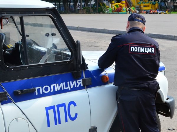 Полиция задержала москвича по подозрению в изнасиловании школьницы в парке «Измайлово»