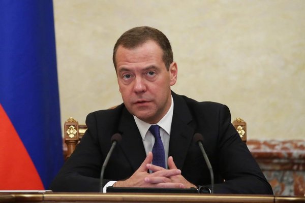 Медведев сообщил, что Россия постарается сохранить уровень господдержки АПК