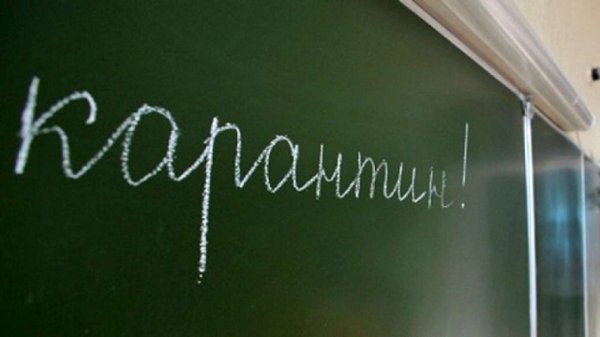 В связи со вспышкой гриппа в школах Перми объявлен карантин