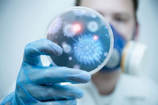 Вирус Х и другие неприятности: Учёные составили список болезней будущего