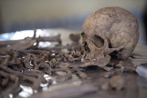 Связанные останки неизвестного обнаружили у храма в Ленобласти