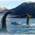 «Здесь мочи нет»: Учёные доказали существование Лох-Несского чудовища в Чёрном море