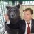 «Просыпается и ничего не понимает»: Россияне сравнили Медведева с медведицей Дашей