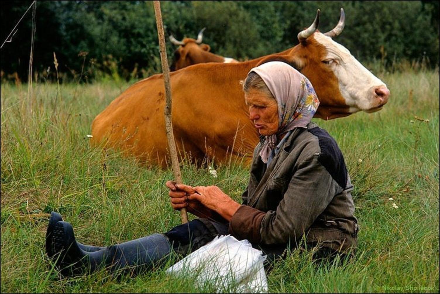 Бабушка с коровой