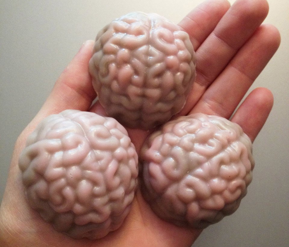 Купить мозги спб. Сувенир мозг. Сувенир в форме мозга. Мягкая игрушка в форме мозга.