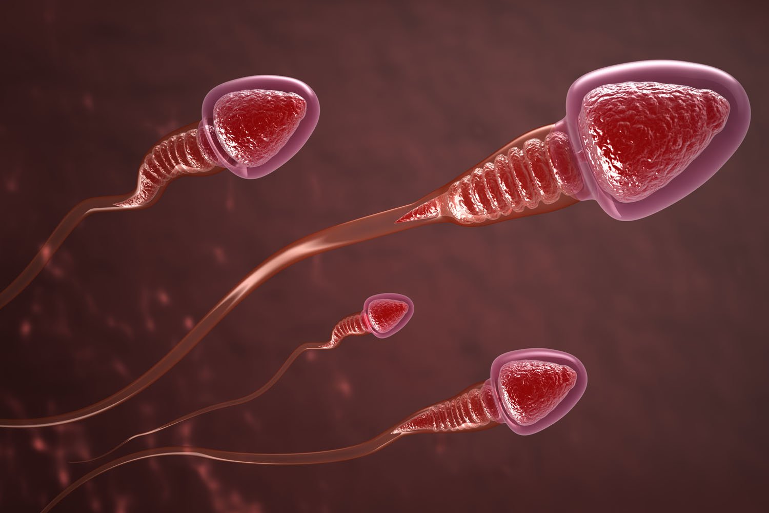 как сделать так чтобы пошла сперма 11 лет фото 91