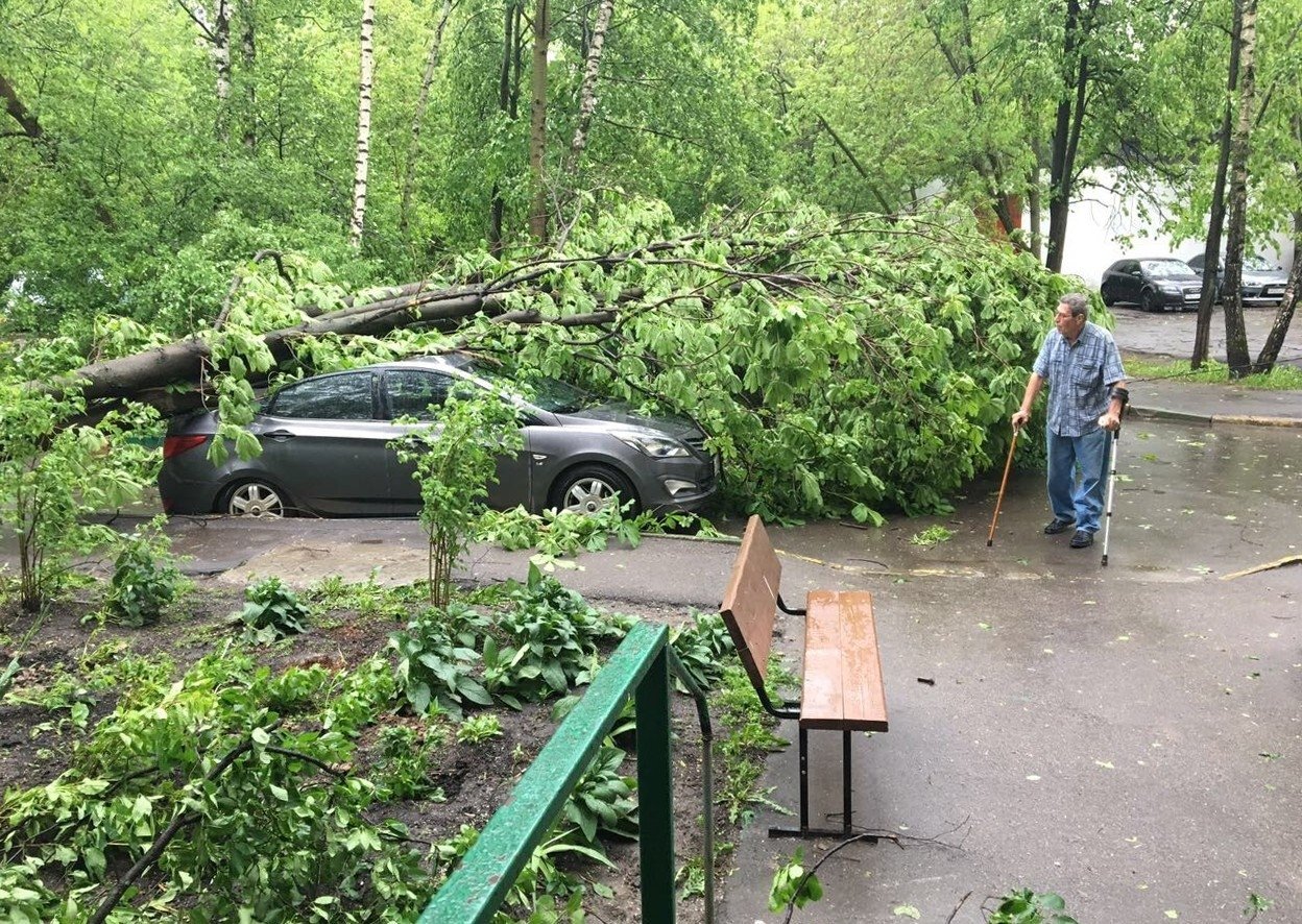 Ураган в москве сегодня куда движется. Ураган 29 май 2017 Москва. Ураган май 2017 Москва. Ураган в Москве (2017). Ураган в Подмосковье 1998.