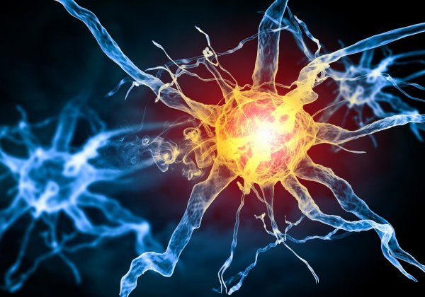 Британские ученые научились быстрее восстанавливать нервные клетки