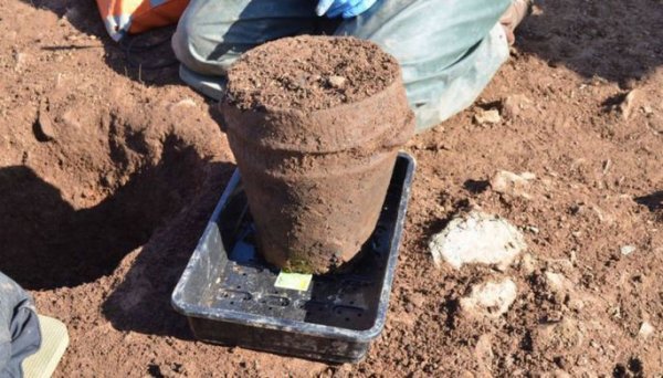 В Британии нашли 4 000-летние кремированные человеческие останки в древней урне
