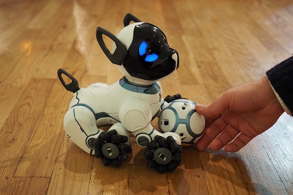 В Китае создали бьющего своего хозяина робота-пса