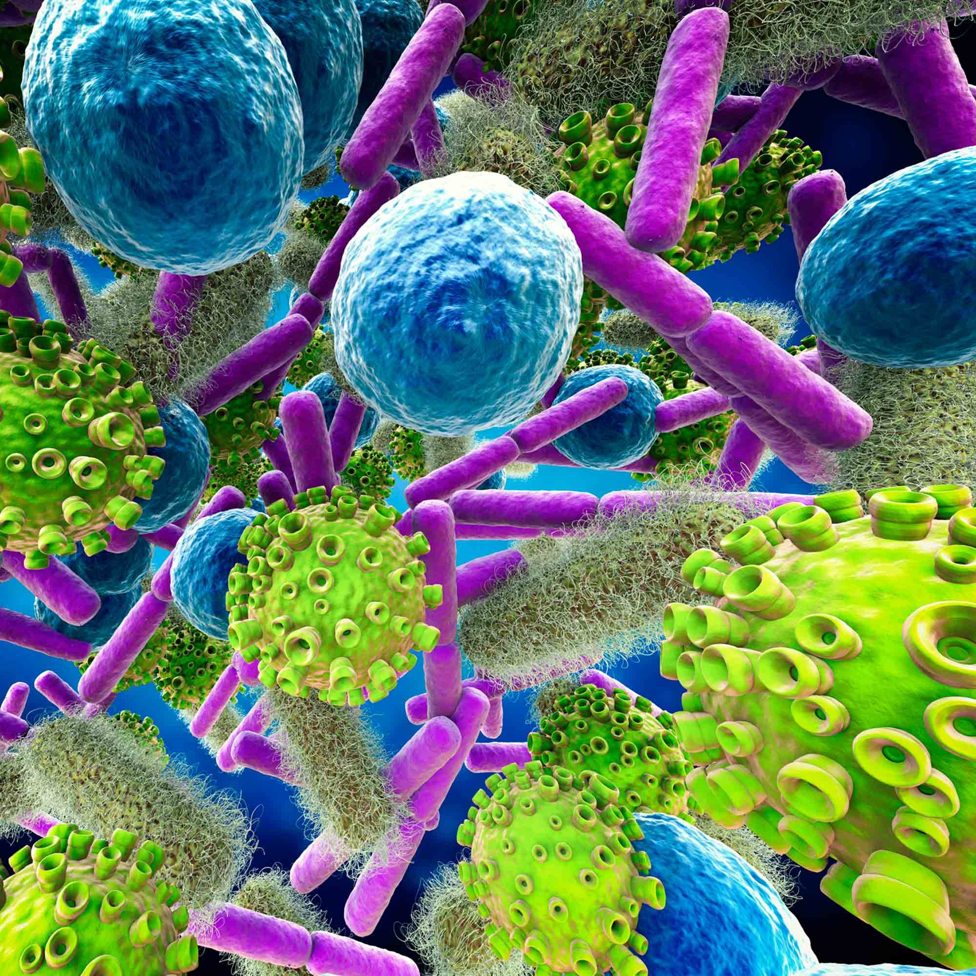 Вирусы бактерии микробы
