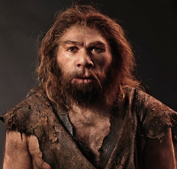 Ученые рассказали, от чего спасло человека скрещивание с неандертальцами