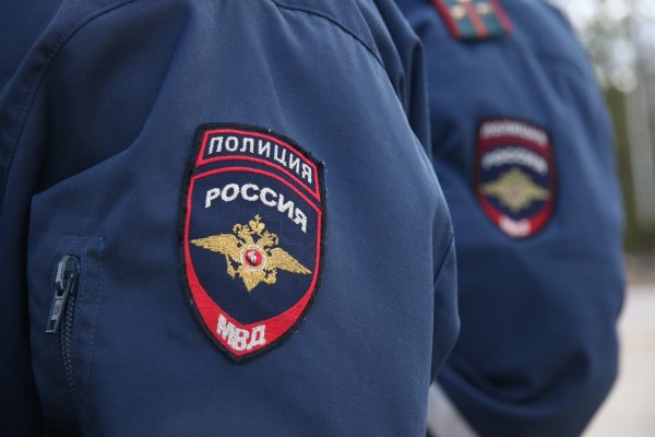 Полиция инициировала проверку заявления о мошеннических операциях с картиной Левитана в Москве