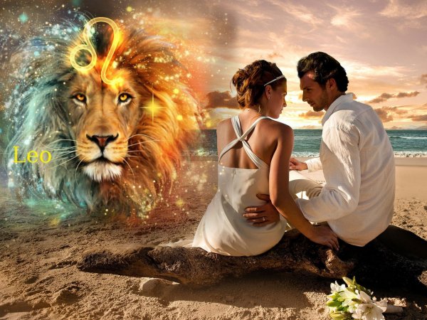 Влюблённый Лев уже не хищник. Как любовь меняет характер знака