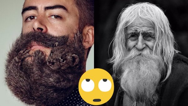 Гарри Поттер надоумил: Быть ли бороде после 35?