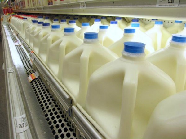 Захлебнулись молоком — Америку накрыл кризис перепроизводства