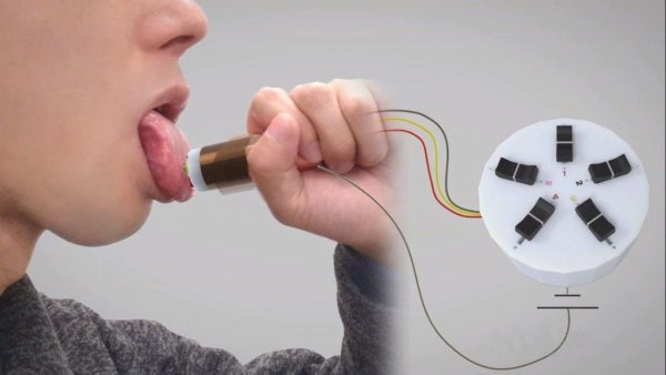 Японские ученые создали синтезатор вкуса для виртуальной еды