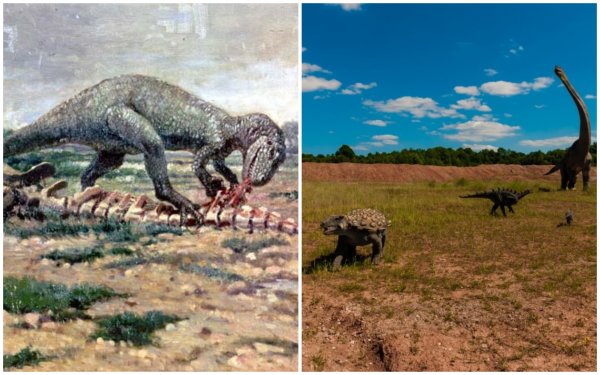 Аллозавры Юрского периода прибегали к каннибализму из-за дефицита пищи