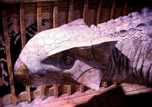 Ученые СПбГУ воссоздали мозг динозавра в 3D-модели