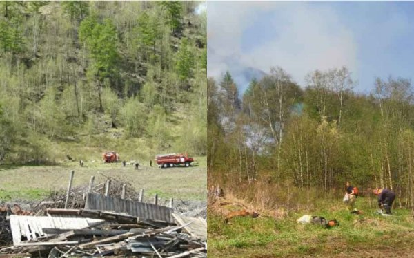 На Камчатке 50 человек борются с лесным пожаром на 20 гектарах