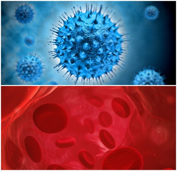 Влияние I и II группы крови на форму заболевания COVID-19 выяснили медики