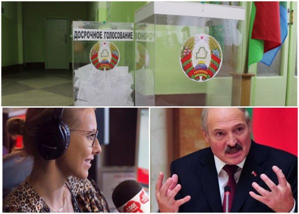 Собчак перекроет себе путь в Белоруссию, ведь обозвала Лукашенко «наглым драконом»