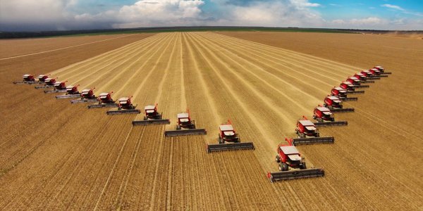 Престиж сельскохозяйственных профессий возрастает: Россельхозбанк назвал самые востребованные профессии в АПК