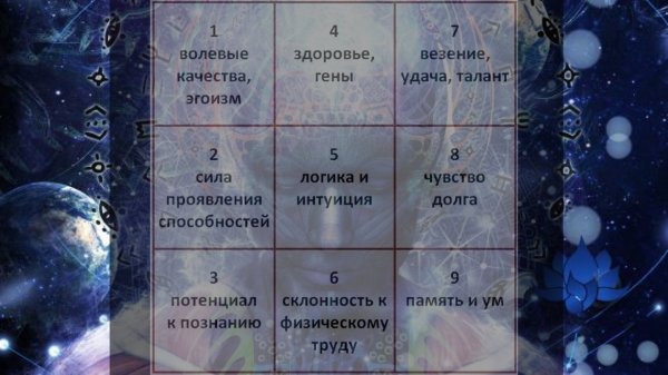 Показатели, которые можно узнать в нумерологии. Коллаж: vladtime.ru